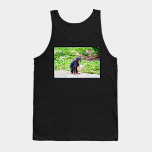 Young chimpanzee out walking Tank Top